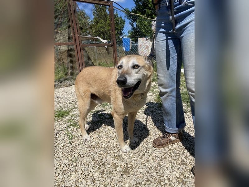 Plugh - Opa Plugh möchte die Welt - und Sie! kennenlernen