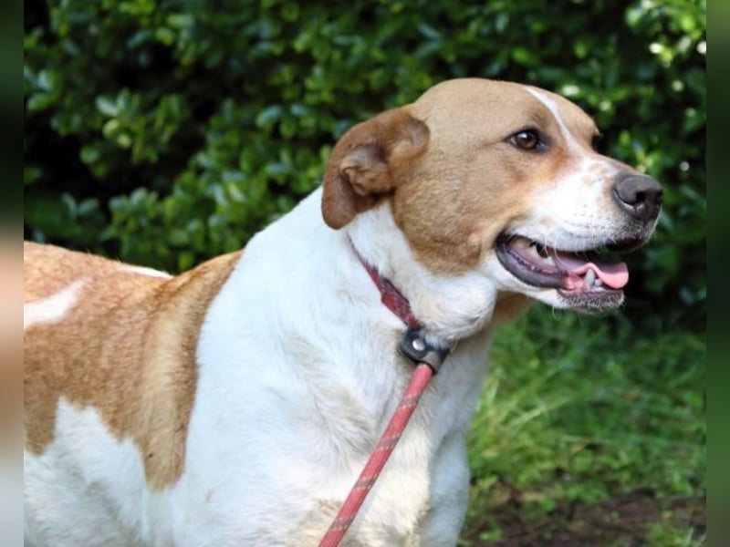 Zela - Z wie Zuckersüß und Zauberhaft