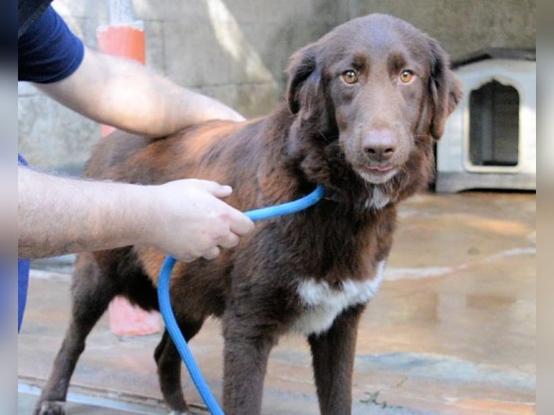 Beckey - Berufswunsch Prinzessin