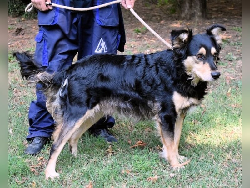 Daxter - wann darf sein Leben beginnen? Daxter - wann darf sein Leben beginnen?