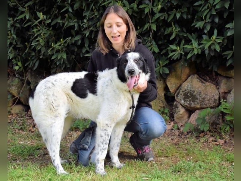 Jasmine - Wer nicht neugierig ist, erfährt nichts!