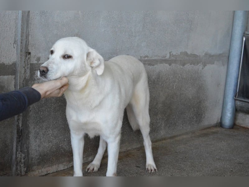 Cyra - Cyra, bald bist auch Du dran!