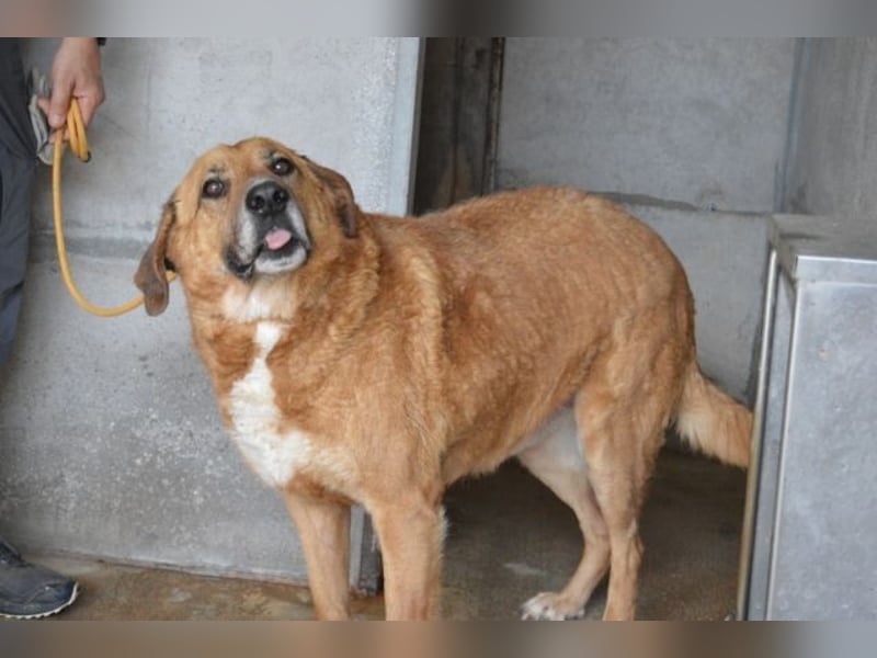 Kemp - Runder Rundum-Schatz