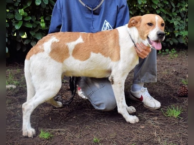 Zela - Z wie Zuckersüß und Zauberhaft