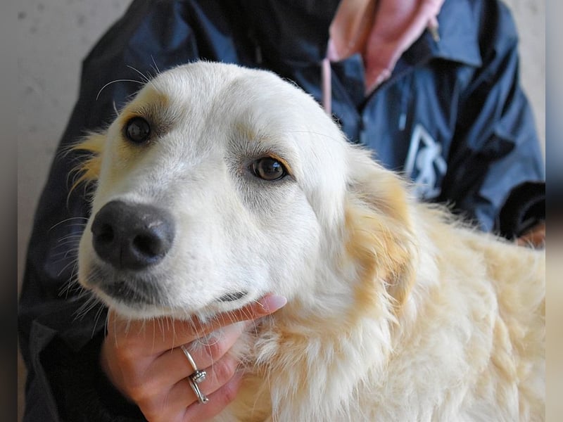 Sadye - Liebevolle Zuwendung....