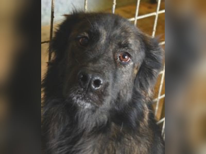 Nayra - unsere Süße