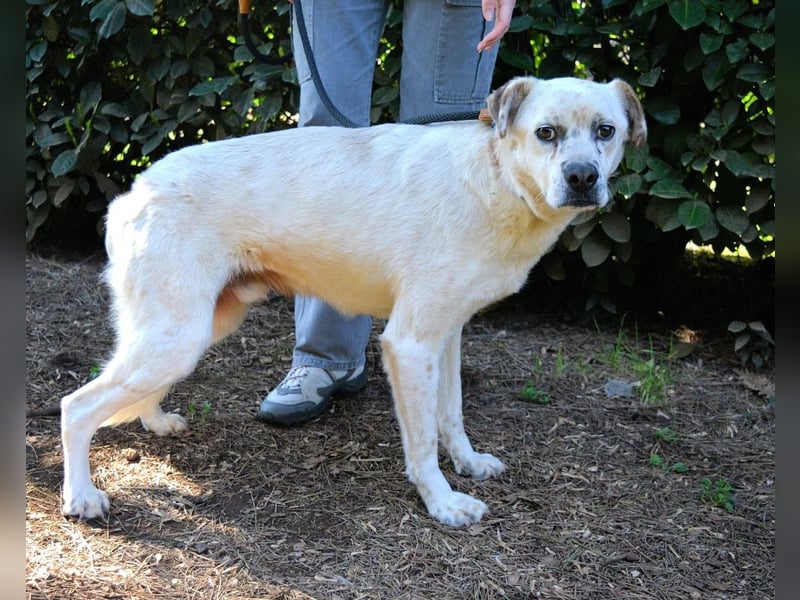 Jedd - Liebe auf den zweiten Stern