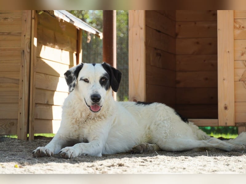 Marni - Dieses Herz hat schon zu lange gewartet
