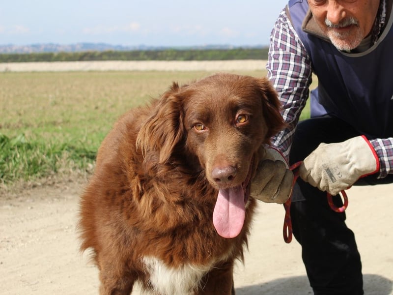 Beckey - Berufswunsch Prinzessin