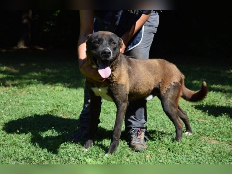 Chufo - ein Energiebündel