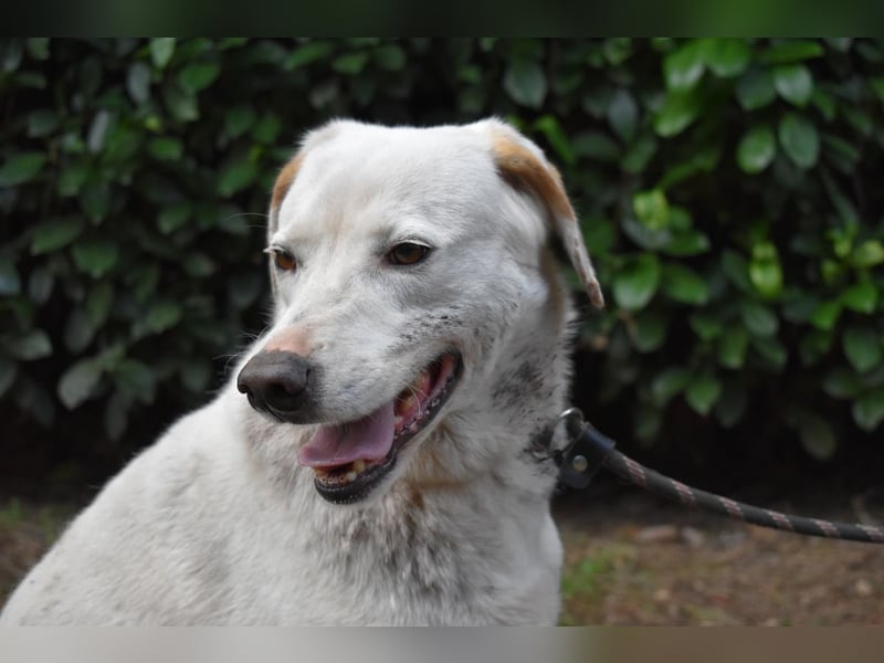 Ghemon - Notfall - Wie wenig kann ein Leben zählen?