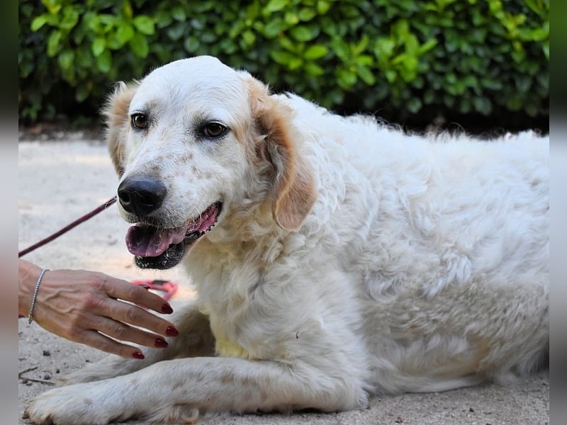 Kastore - Die Welt erkunden!