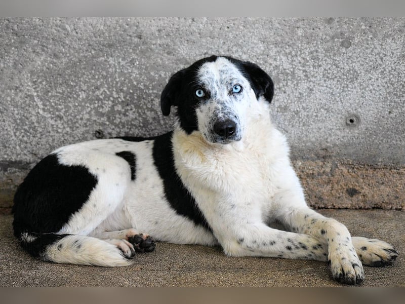 Nyxiel - Die schönsten Augen