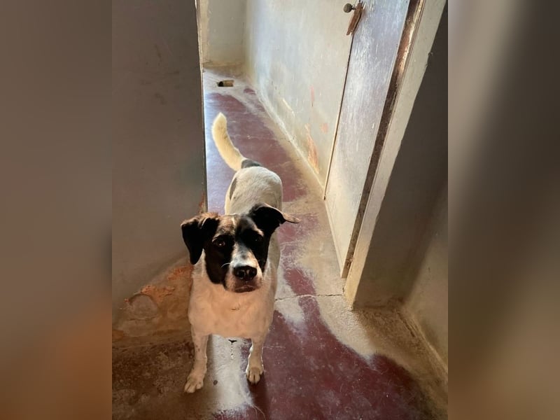 Phönix - Wege aus der Vergangenheit