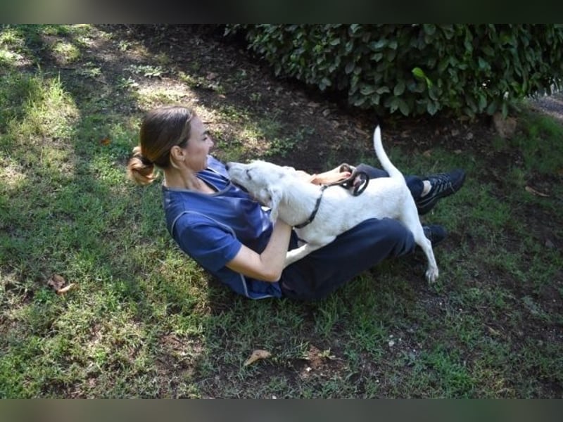 Scrubby - Ein riesiges Missverständnis!