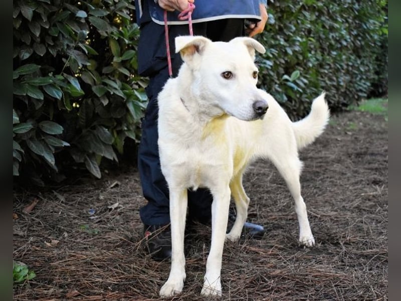 Dafnielle - Zukunft gesucht