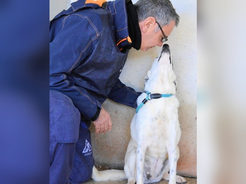 Arunny - aller guten Dinge sind drei