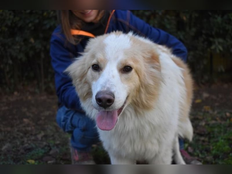 Jury - Powerpaket mit ganz viel Herz im Gepäck