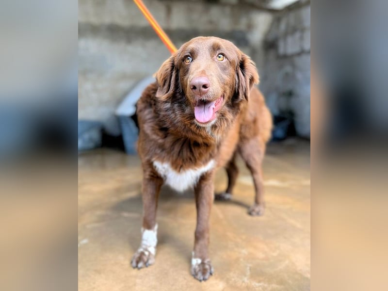 Beckey - Berufswunsch Prinzessin