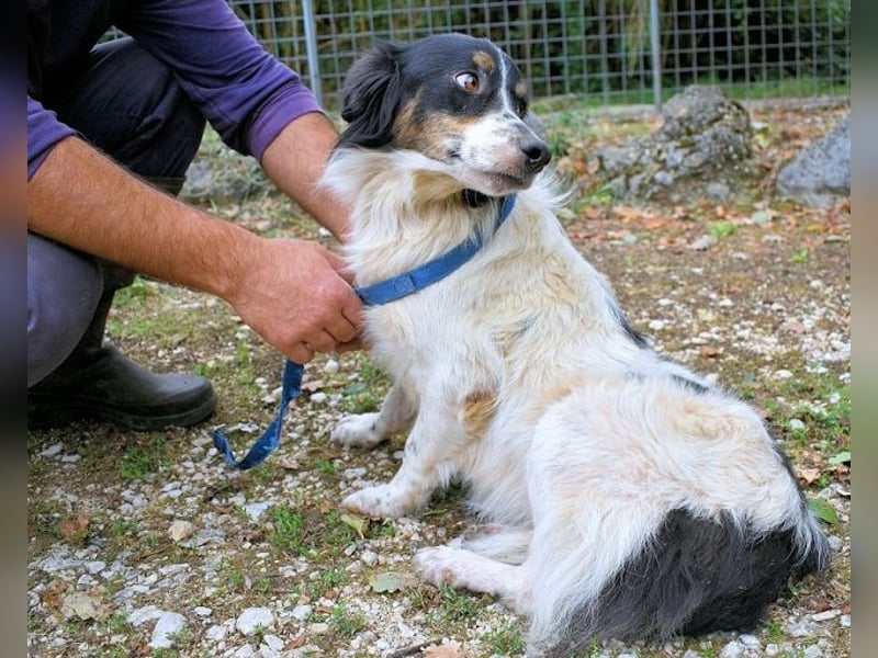 Collin - Wer Vertrauen hat, erlebt jeden Tag Wunder