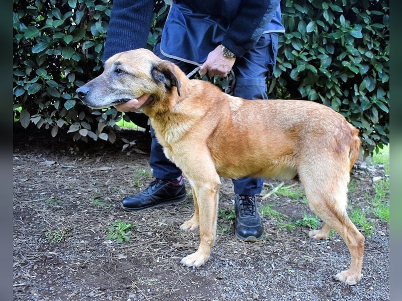 Nidal - Notfall - Was jetzt zählt