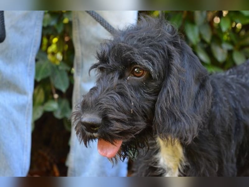 Elide - das doppelte Lottchen zu Edera