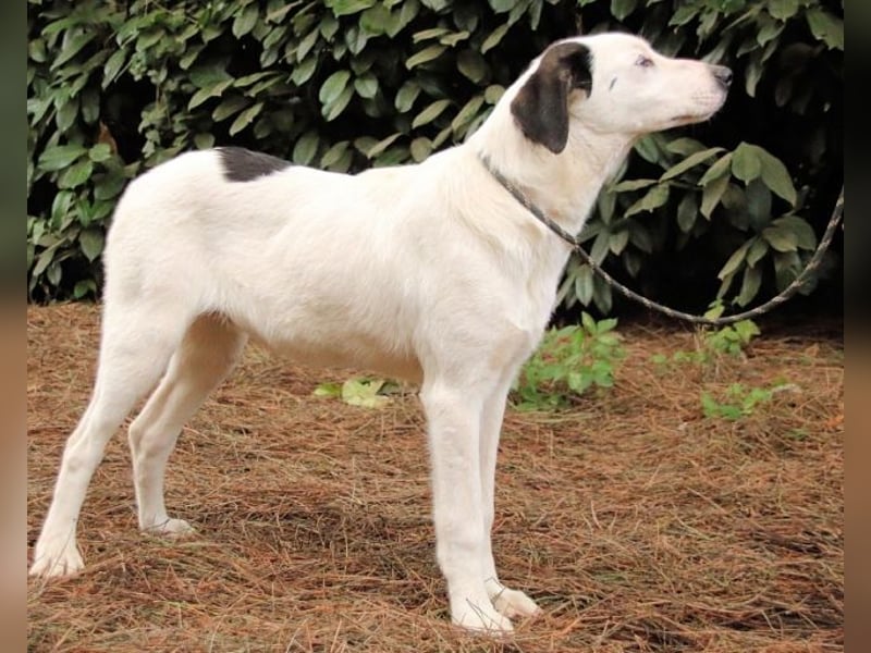 Marius - We proudly present...