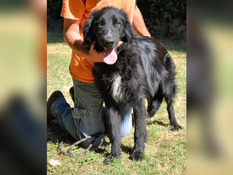 Settimio - Ich bin da, jetzt läuft's!?