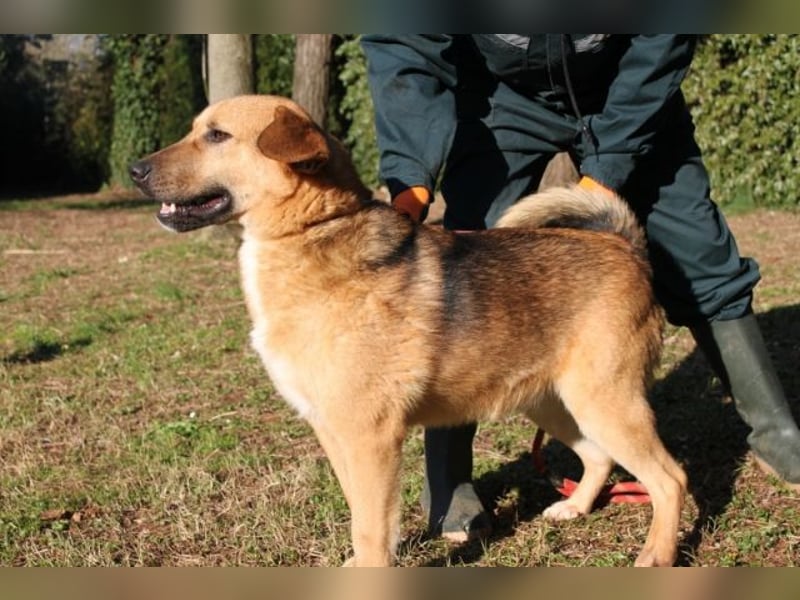 Kairo - möchte einfach nur genießen