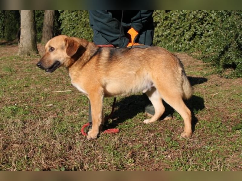 Kairo - möchte einfach nur genießen