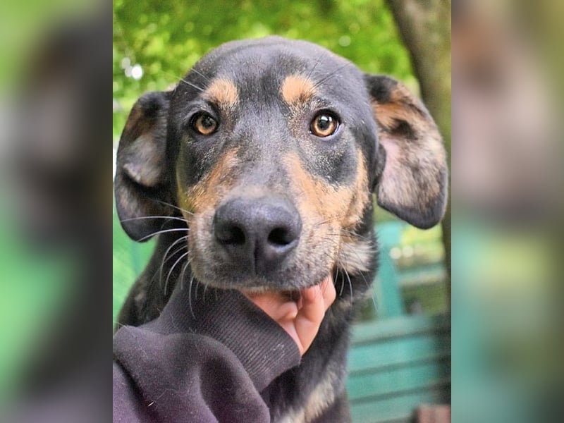 Montego - Sonne im Bauch und Brausekribbeln im Hirn