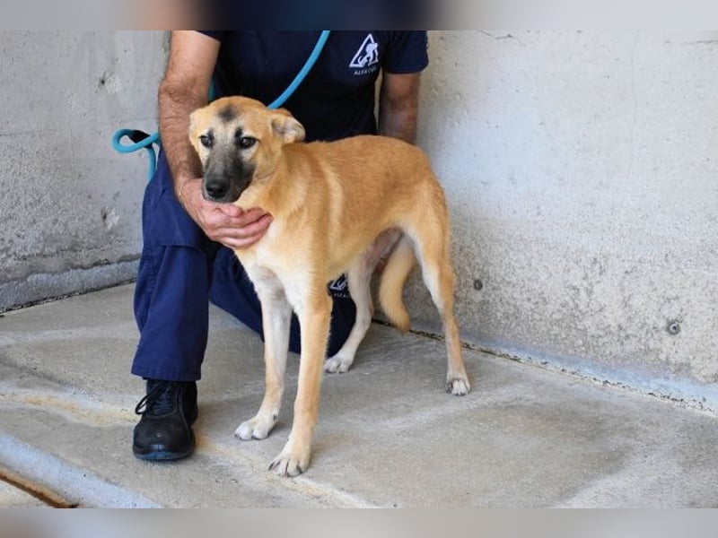 Olympia - "Und wenn sie nicht weg sind....