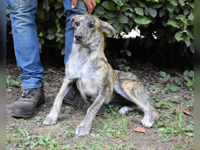 Uladine - hat alles verloren...