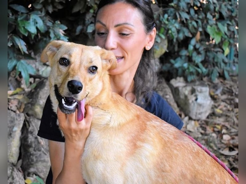 Lilyrose - als kleine Muschel ins Glück!