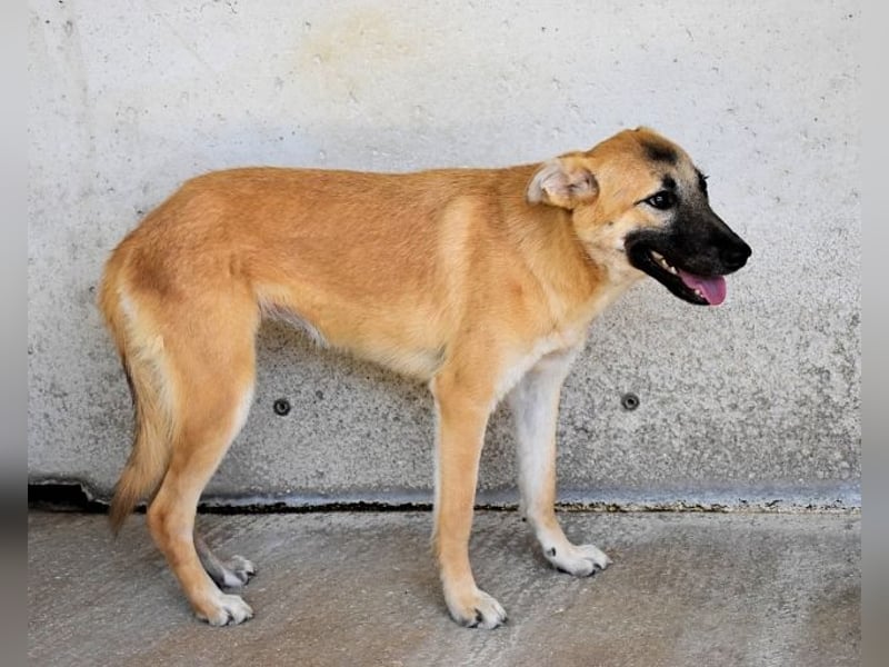 Olympia - "Und wenn sie nicht weg sind....