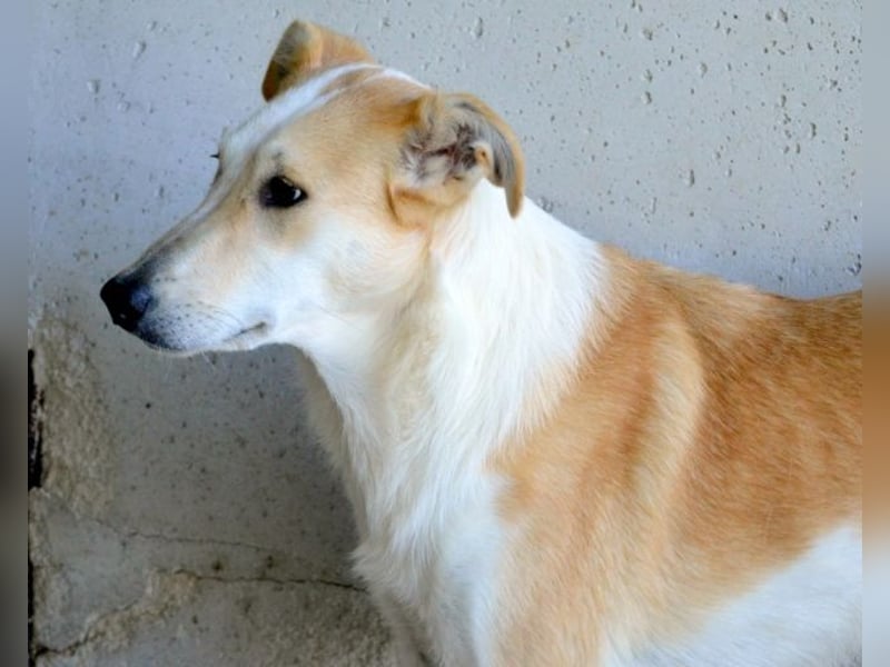 Liuba - sucht ihren Platz im Leben