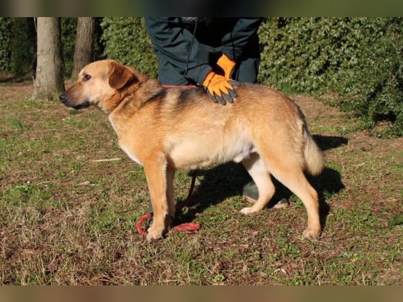 Kairo - möchte einfach nur genießen