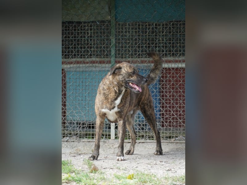 Ludwig - Nur Mädchen erlaubt