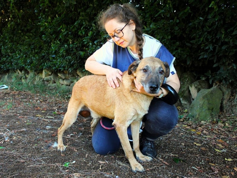 Nidal - Notfall - Was jetzt zählt