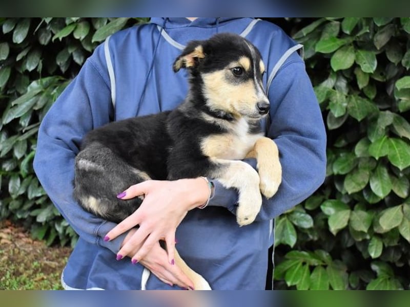 Oliverio - ohne Anklage hinter Gittern