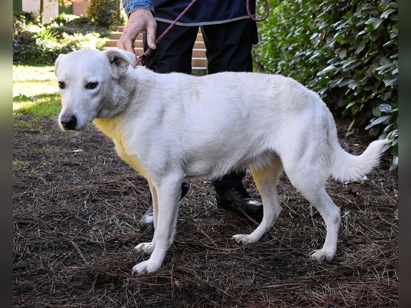 Dafnielle - Zukunft gesucht