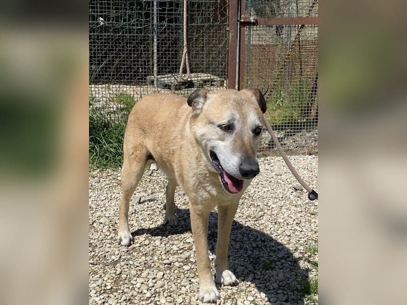 Plugh - Opa Plugh möchte die Welt - und Sie! kennenlernen