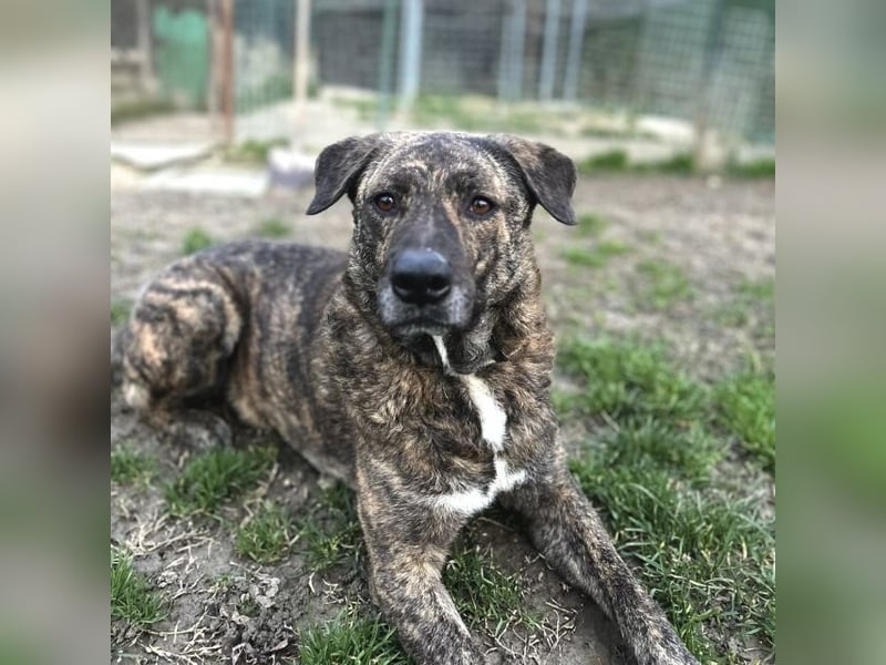 Ludwig - Nur Mädchen erlaubt