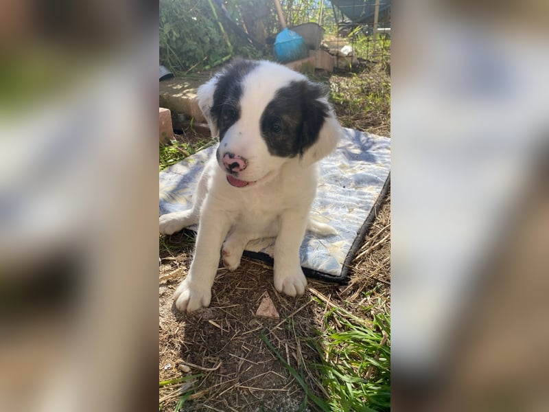 Ingo -  Neunmal werden wir noch wach...