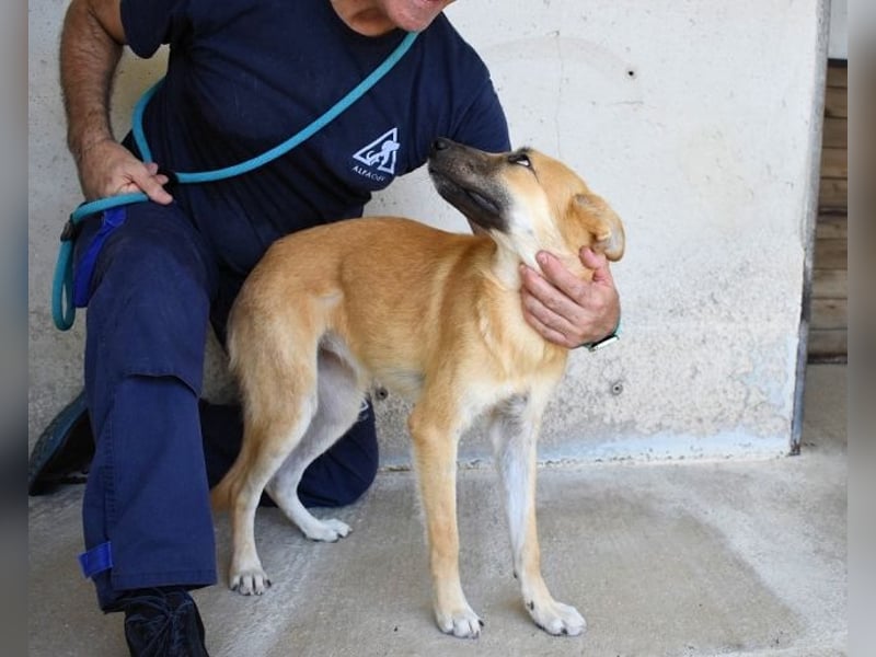 Osita - "Und wenn sie nicht weg sind.....