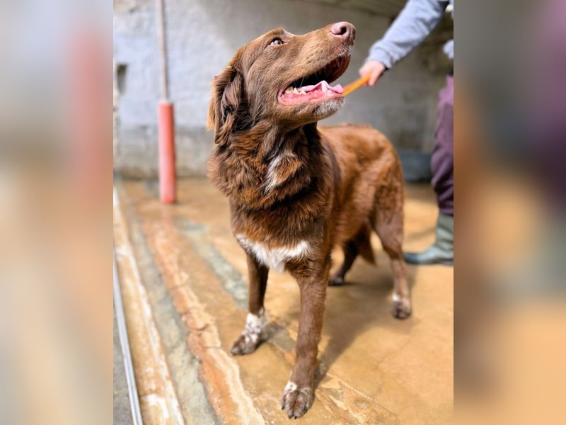 Beckey - Berufswunsch Prinzessin