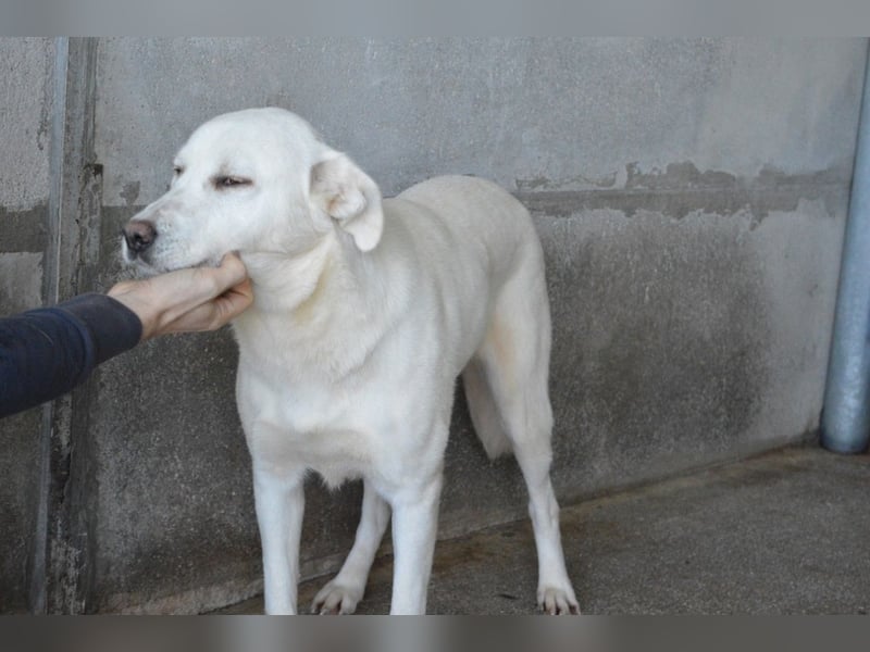 Cyra - Cyra, bald bist auch Du dran!