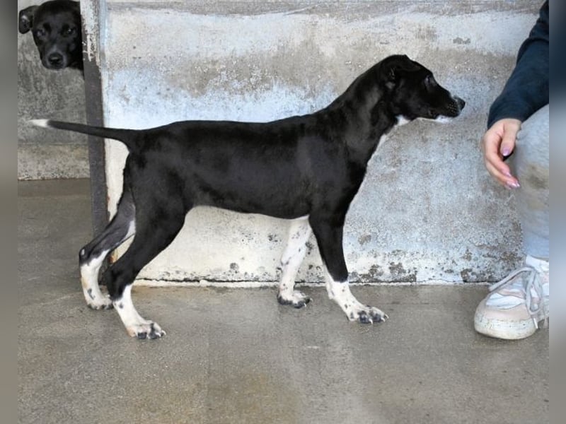 Mavette - Es soll DEIN Leben werden