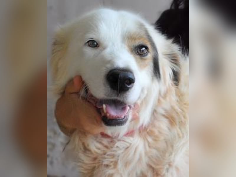 Bailoch - Zeig mir doch bitte...