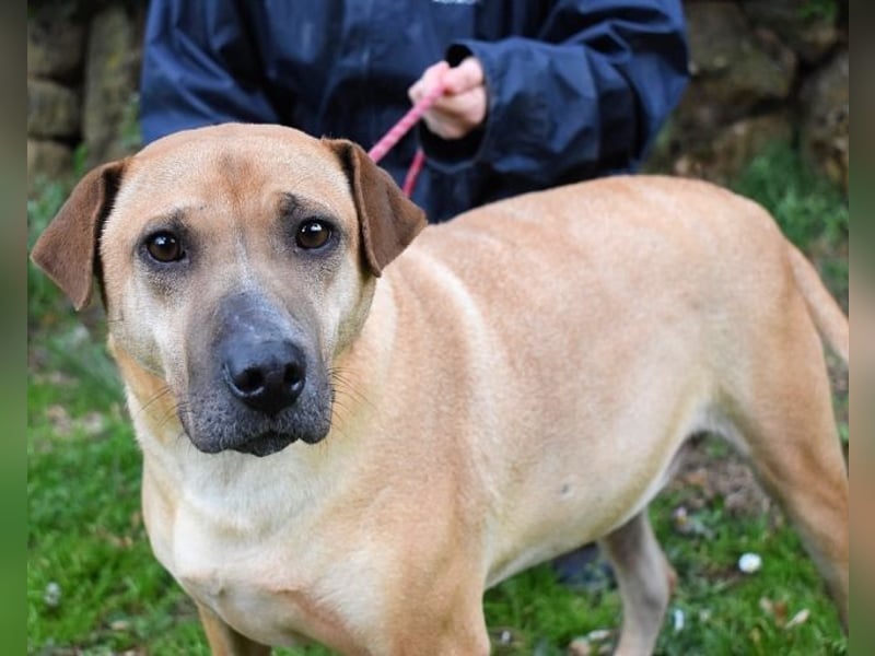 Meleagro - Die perfekte Morgenroutine Meleagro - Die perfekte Morgenroutine